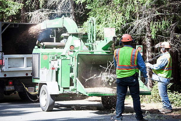 Best Commercial Tree Services  in Spiro, OK